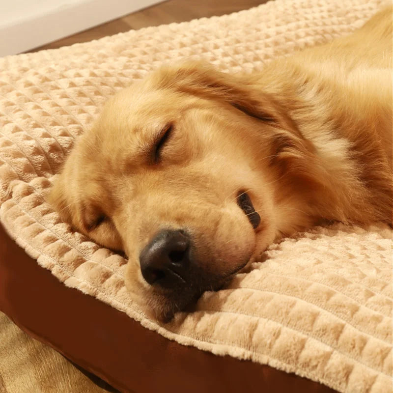 Orthopädisches Hundebett – Extra Dick & Bequemes Liegebett für Große & Kleine Hunde